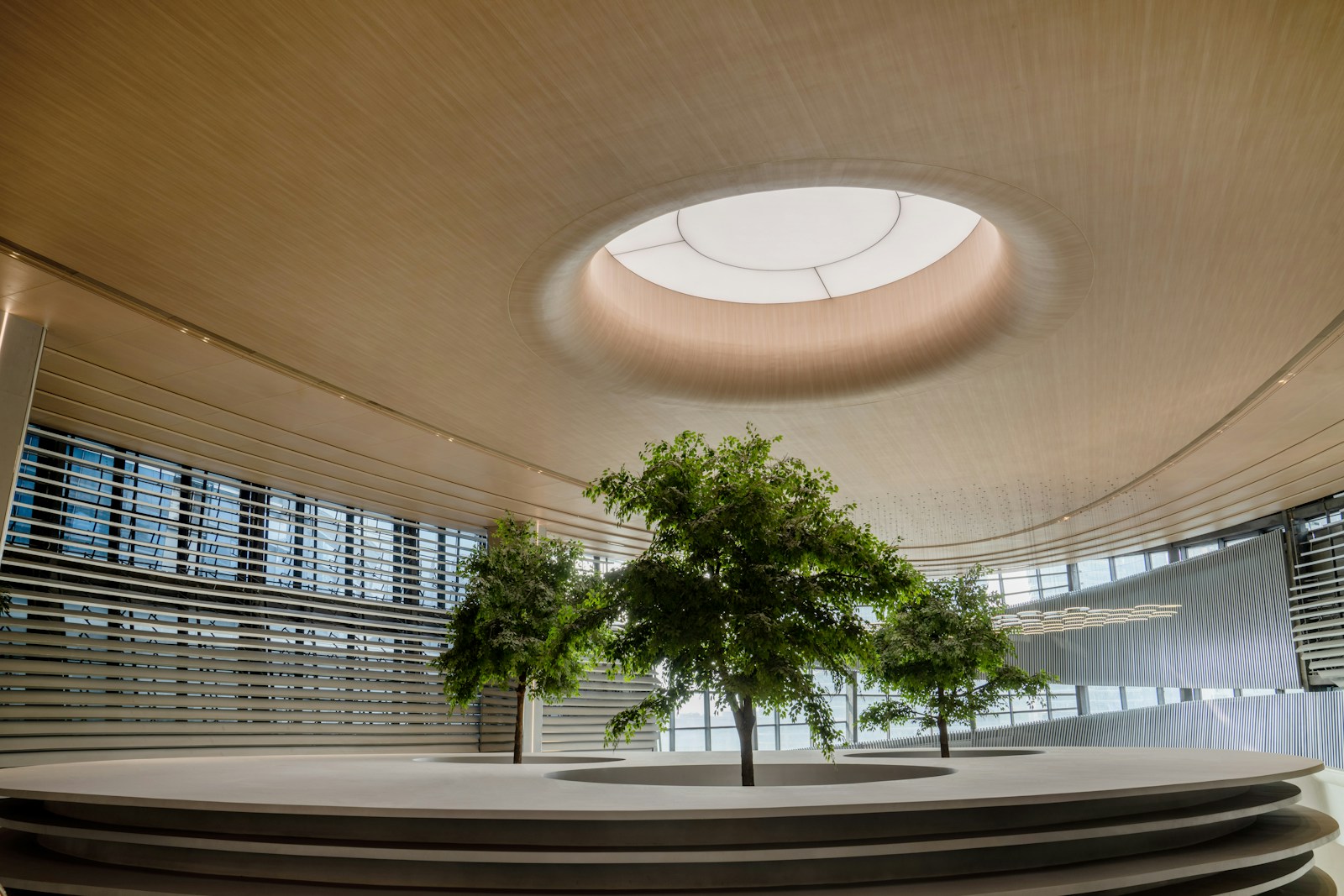 A round room with a tree inside of it